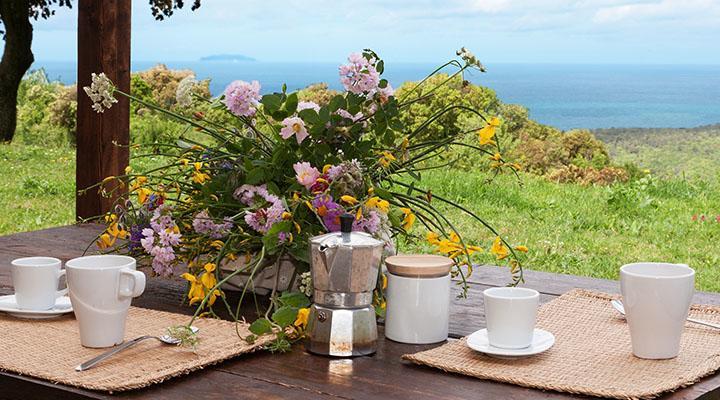 Agriturismo San Quirico Castiglioncello Eksteriør bilde